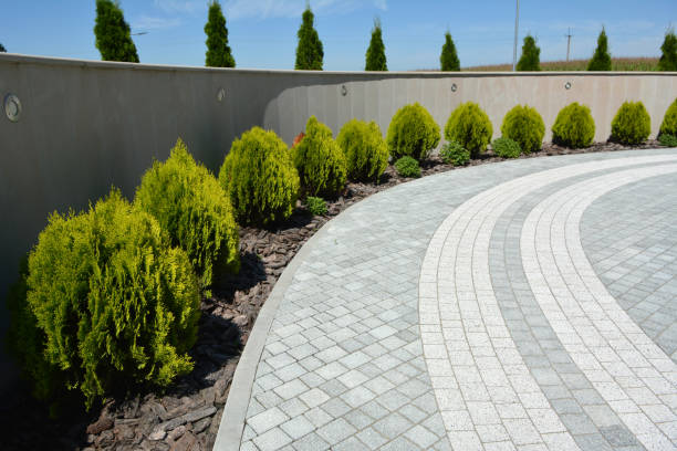 Best Driveway Pavers Near Me  in Johnson, AR